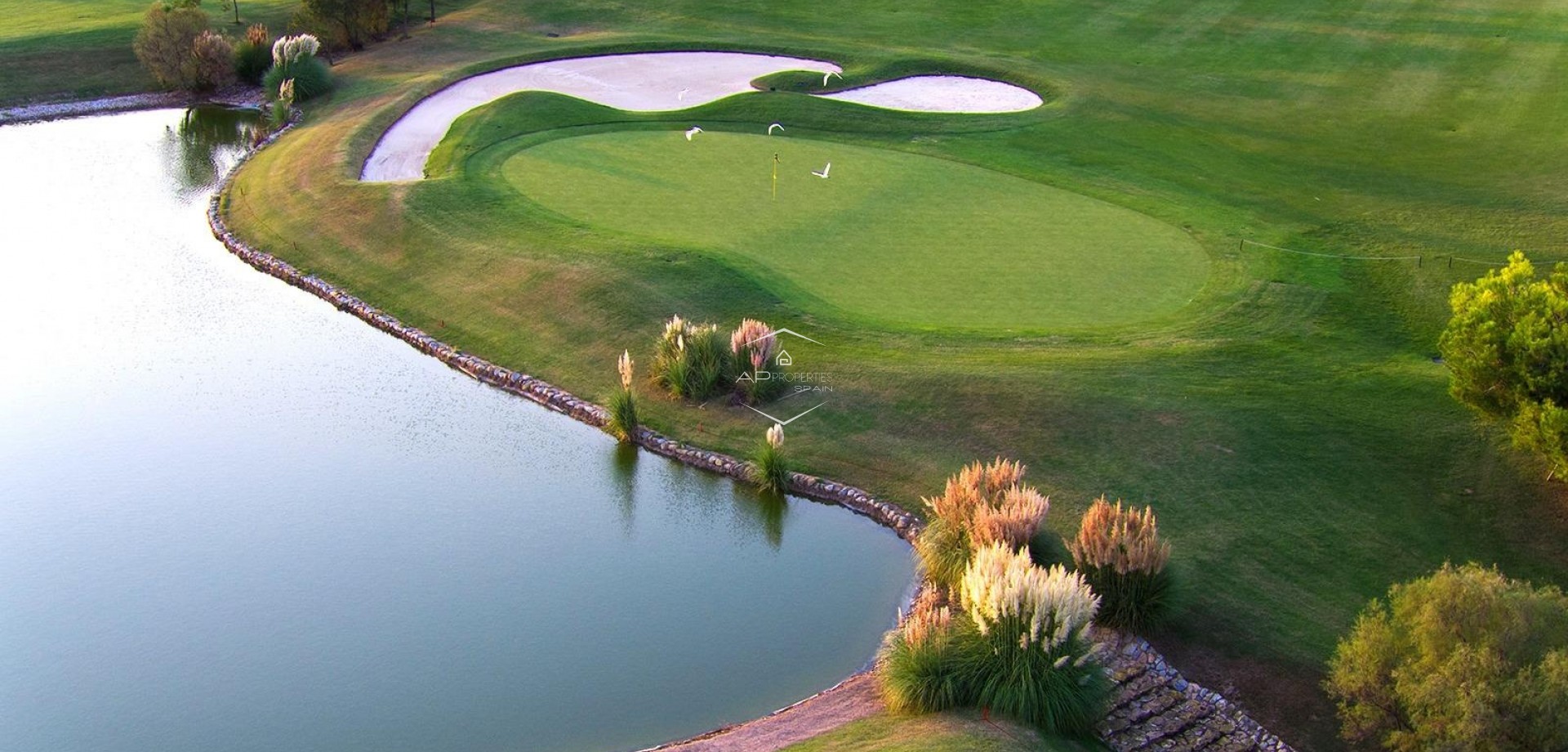 Nowy budynek - Willa - Dom wolnostojący -
Pilar de la Horadada - Lo Romero Golf