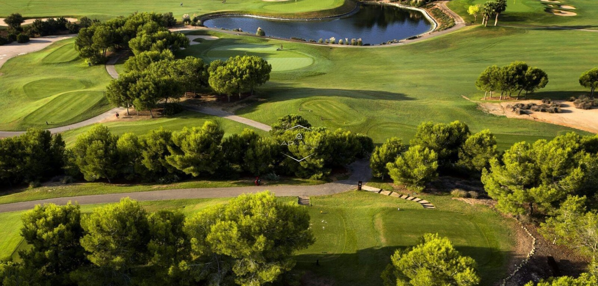 Nowy budynek - Willa - Dom wolnostojący -
Pilar de la Horadada - Lo Romero Golf