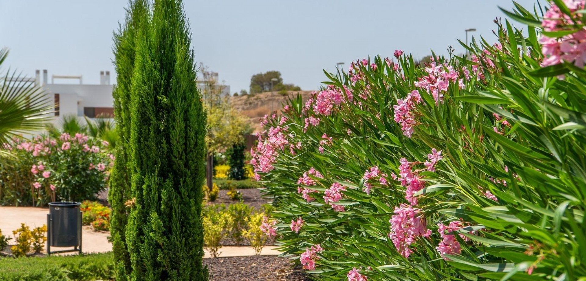 Nowy budynek - Szeregowiec -
Orihuela - Vistabella Golf