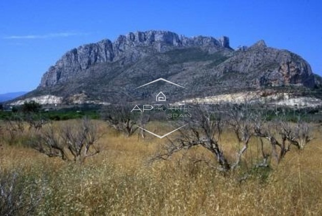 Nouvelle construction - Appartement - Penthouse -
Denia - El Verger