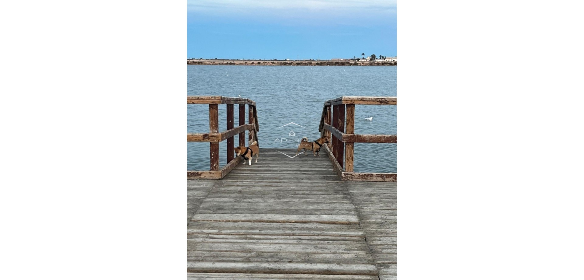 Revente - Maison de ville -
San Pedro del Pinatar - Los Antolinos