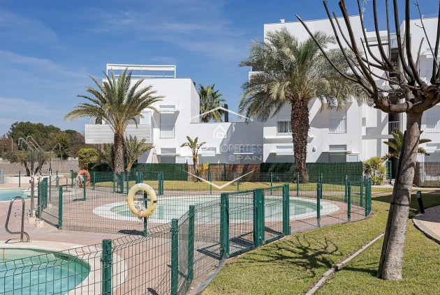 New Build - Apartment - flat -
Vera - El Playazo