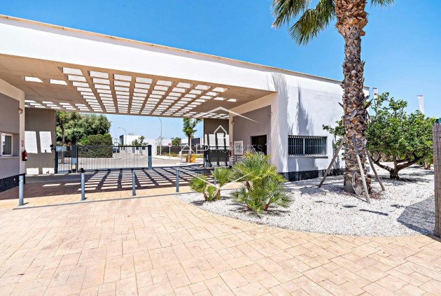New Build - Apartment - flat -
Vera - El Playazo