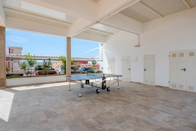 Reventa - Apartamento - piso -
Torrevieja - Costa Blanca South