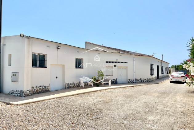 Revente - Villa - Indépendante -
Daya Nueva