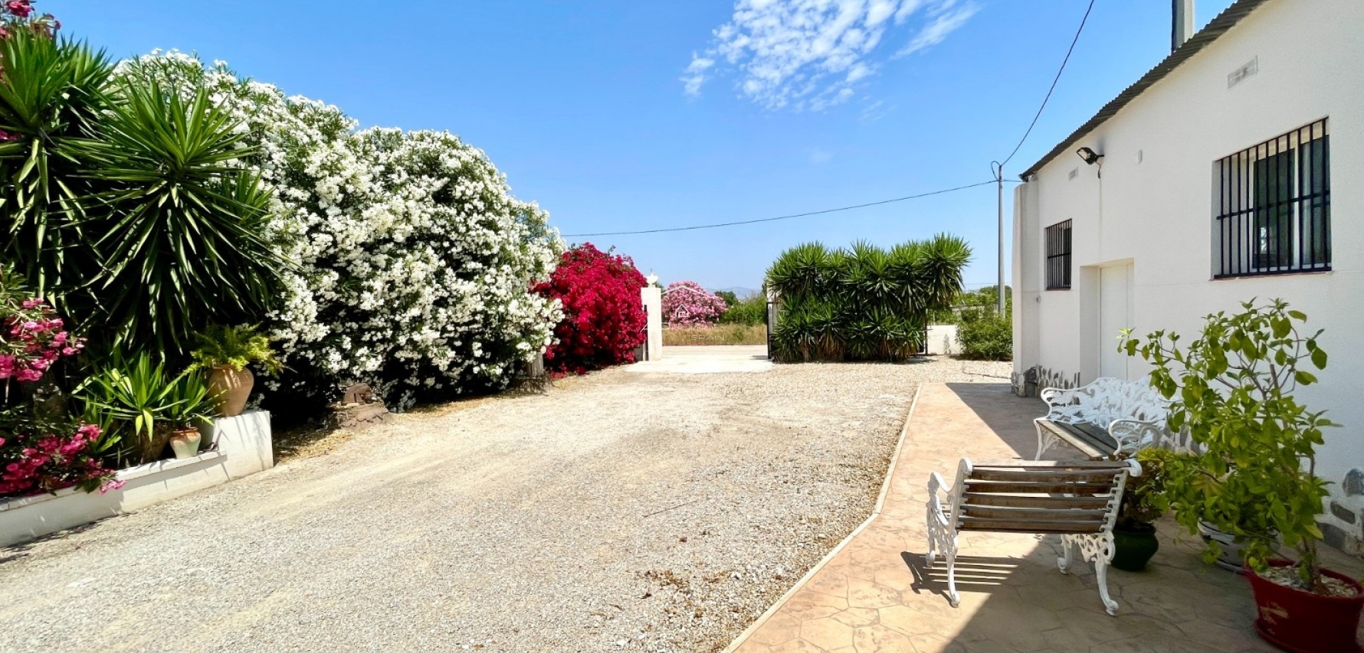 Revente - Villa - Indépendante -
Daya Nueva