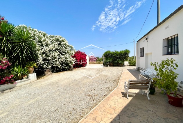 Revente - Villa - Indépendante -
Daya Nueva