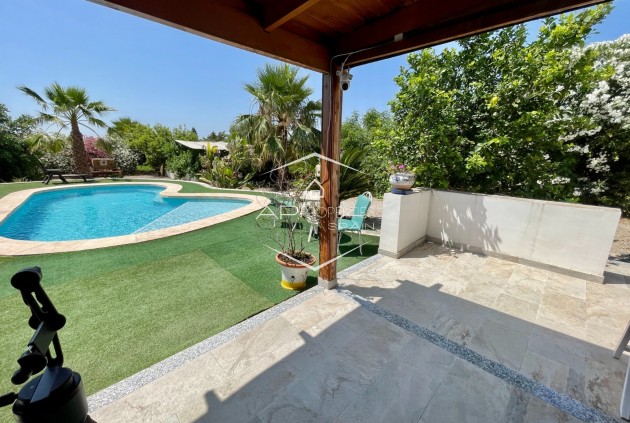 Revente - Villa - Indépendante -
Daya Nueva