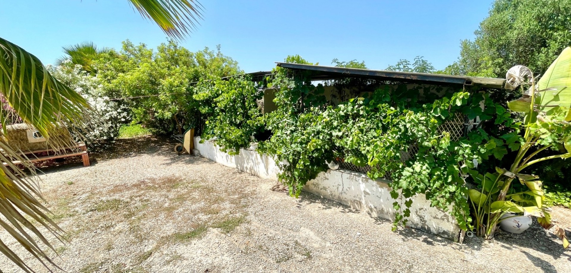 Revente - Villa - Indépendante -
Daya Nueva