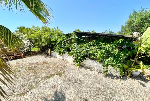Revente - Villa - Indépendante -
Daya Nueva