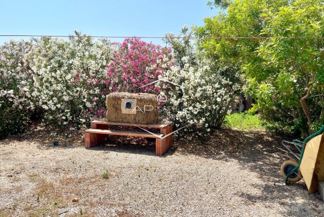 Revente - Villa - Indépendante -
Daya Nueva
