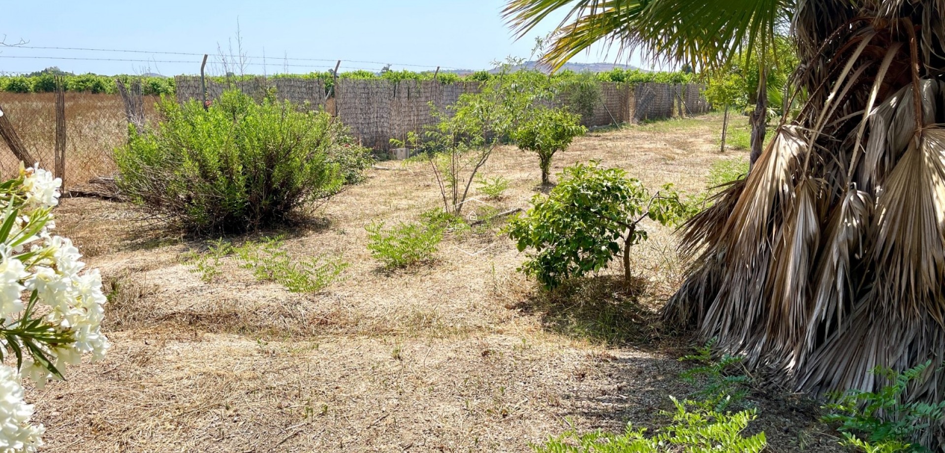 Revente - Villa - Indépendante -
Daya Nueva