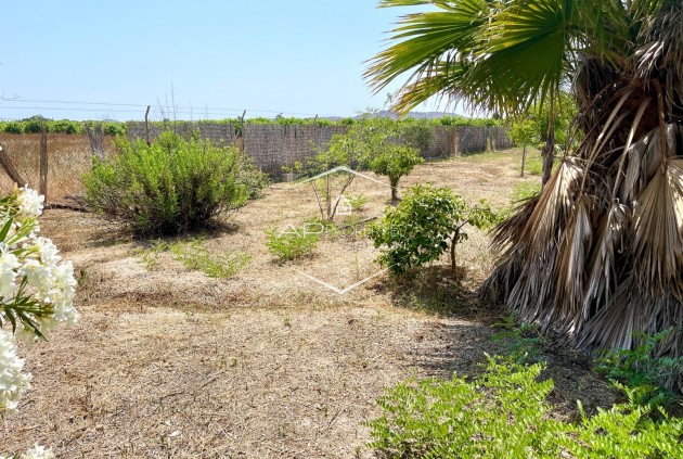 Revente - Villa - Indépendante -
Daya Nueva
