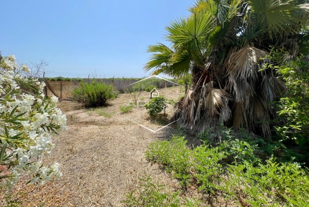 Revente - Villa - Indépendante -
Daya Nueva