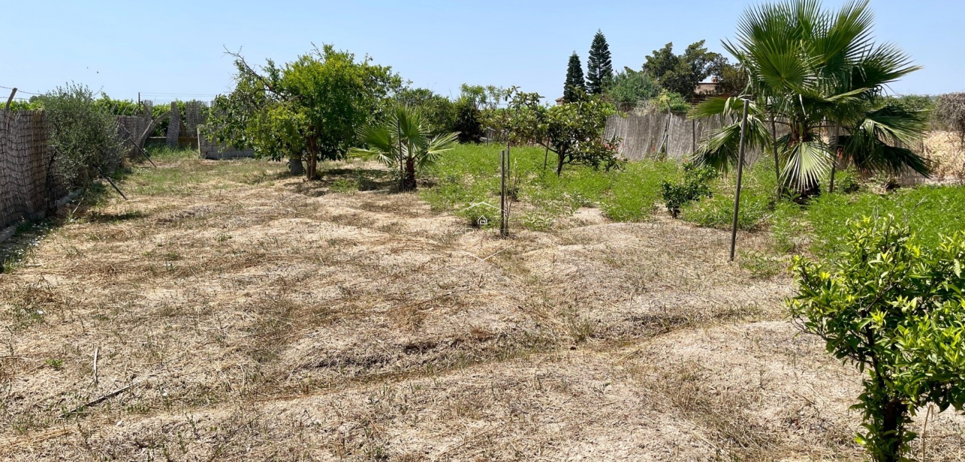 Revente - Villa - Indépendante -
Daya Nueva