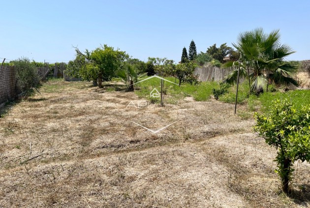 Revente - Villa - Indépendante -
Daya Nueva