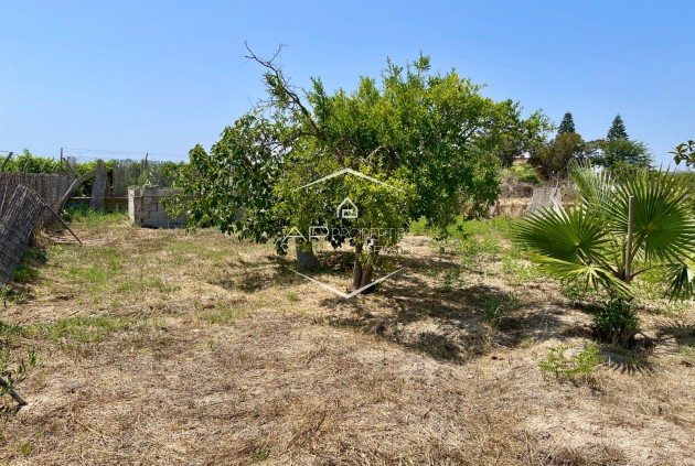 Revente - Villa - Indépendante -
Daya Nueva