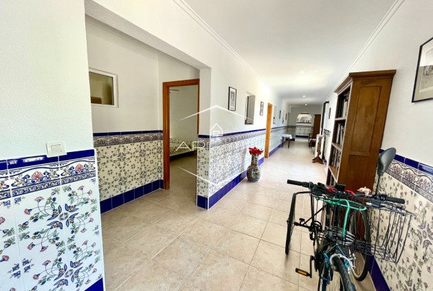 Revente - Villa - Indépendante -
Daya Nueva