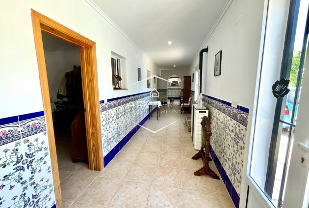 Revente - Villa - Indépendante -
Daya Nueva