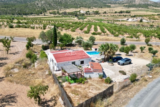 Herverkoop - Grot -
Algueña