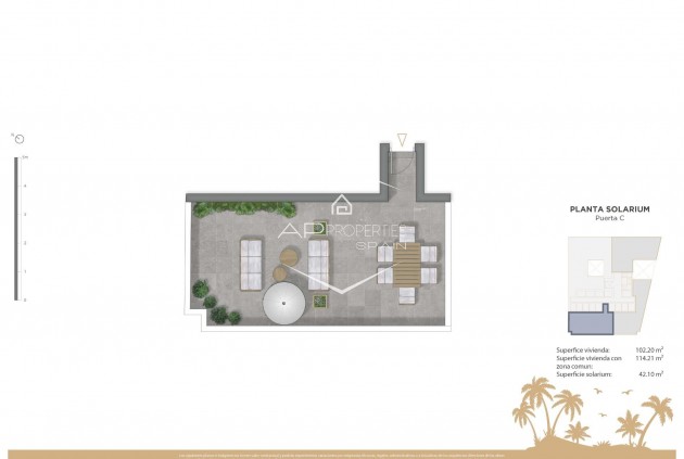 Nueva construcción  - Apartamento - Ático -
Guardamar del Segura - Pueblo
