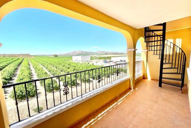 Revente - Appartement - Penthouse -
Algorfa