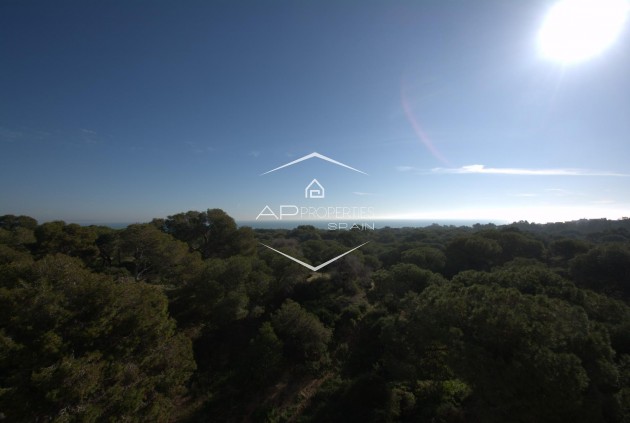 Nouvelle construction - Appartement -
Guardamar del Segura - Pueblo
