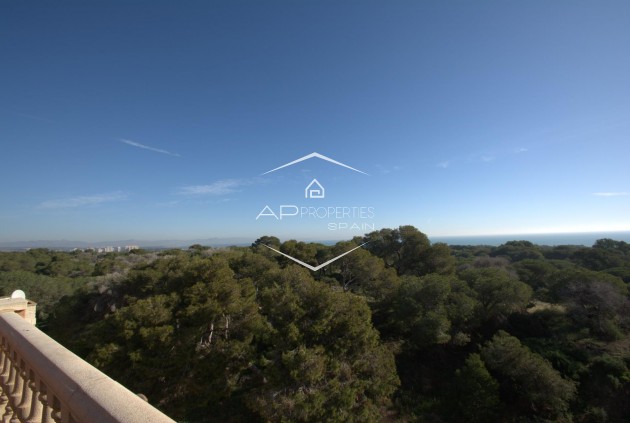 Nouvelle construction - Appartement -
Guardamar del Segura - Pueblo