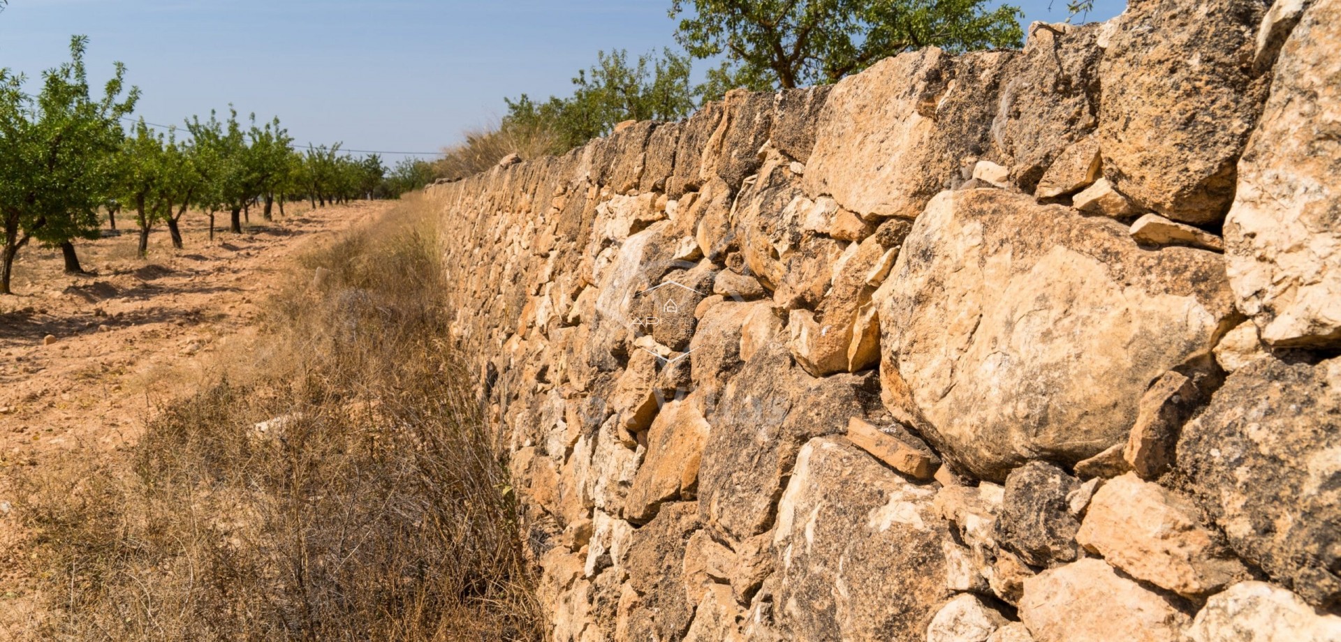 Odsprzedaż - Działka - Grunt -
Pinoso - Pinoso (Paredon)