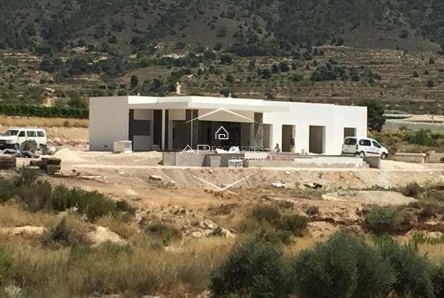 New Build - Villa - Detached -
Pinoso - Casas Pastor