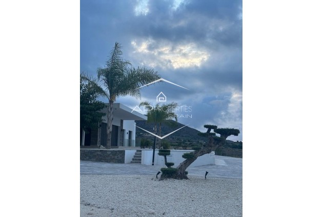 New Build - Villa - Detached -
Pinoso - Casas Pastor