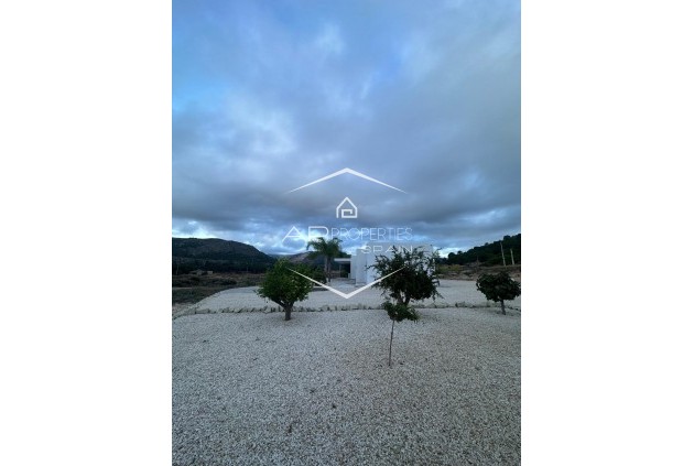 New Build - Villa - Detached -
Pinoso - Casas Pastor