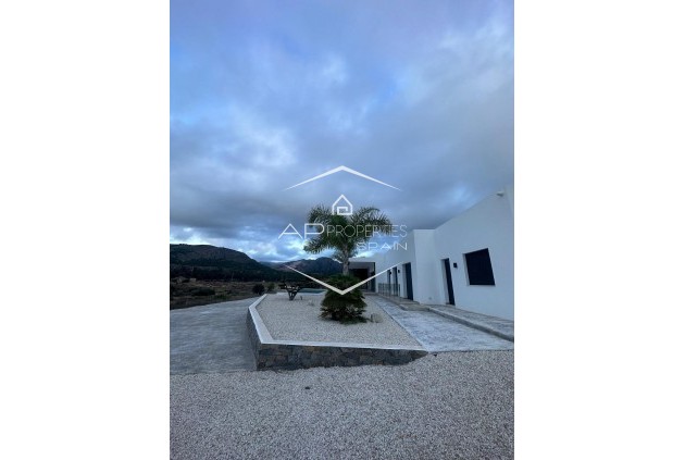 New Build - Villa - Detached -
Pinoso - Casas Pastor