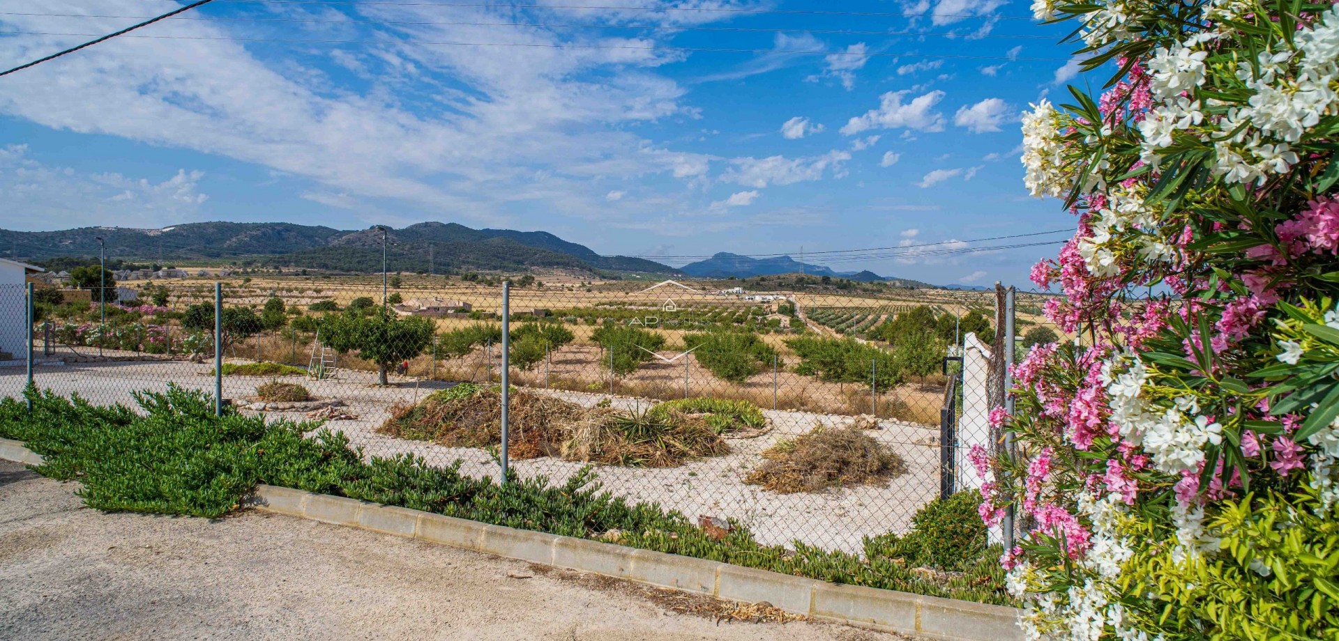 Resale - Villa - Detached -
Canada del Trigo - Polígono 1, Parcela 13, COLLADO. ABANILLA (MURCIA)