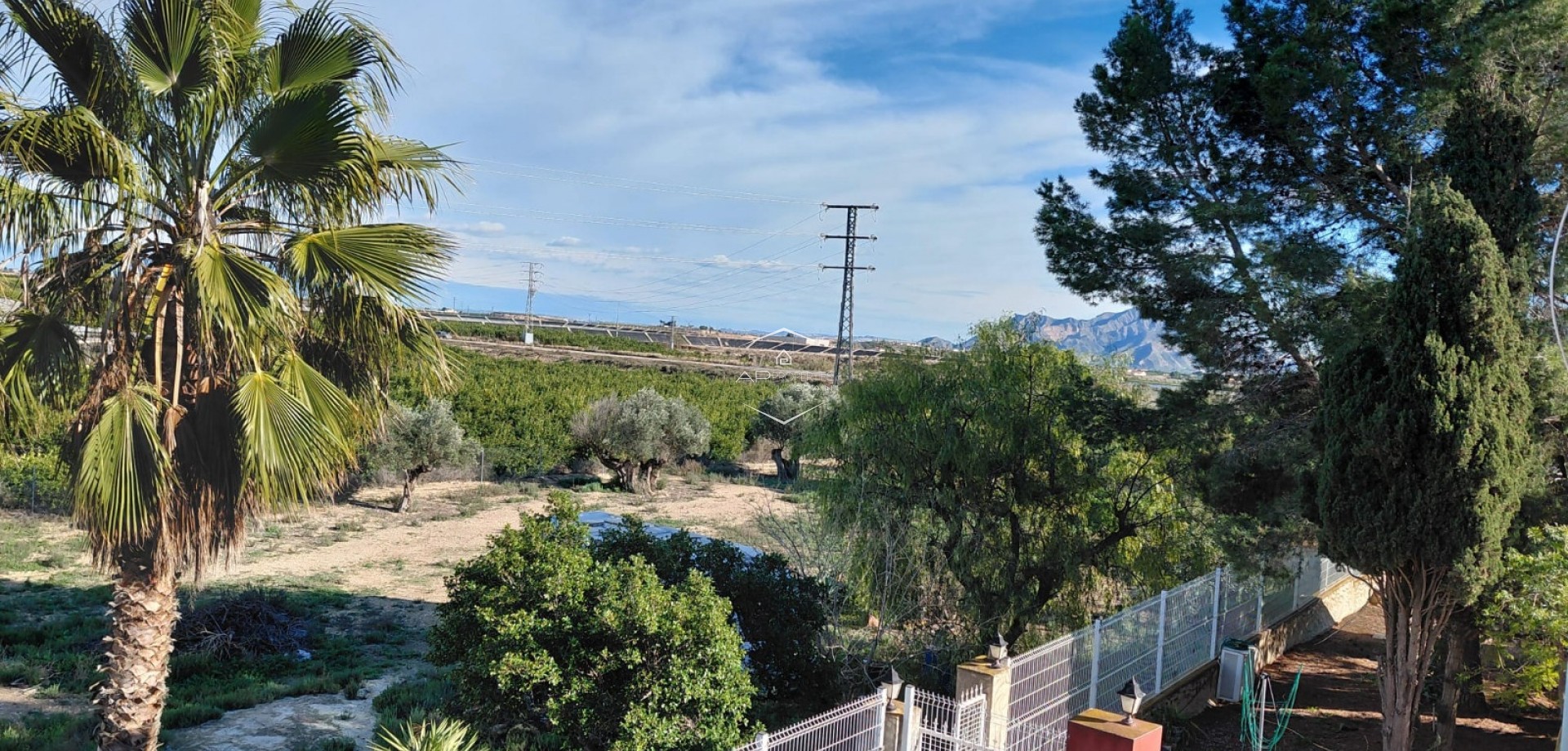 Herverkoop - Finca -
Orihuela