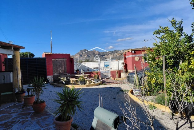Herverkoop - Finca -
Orihuela