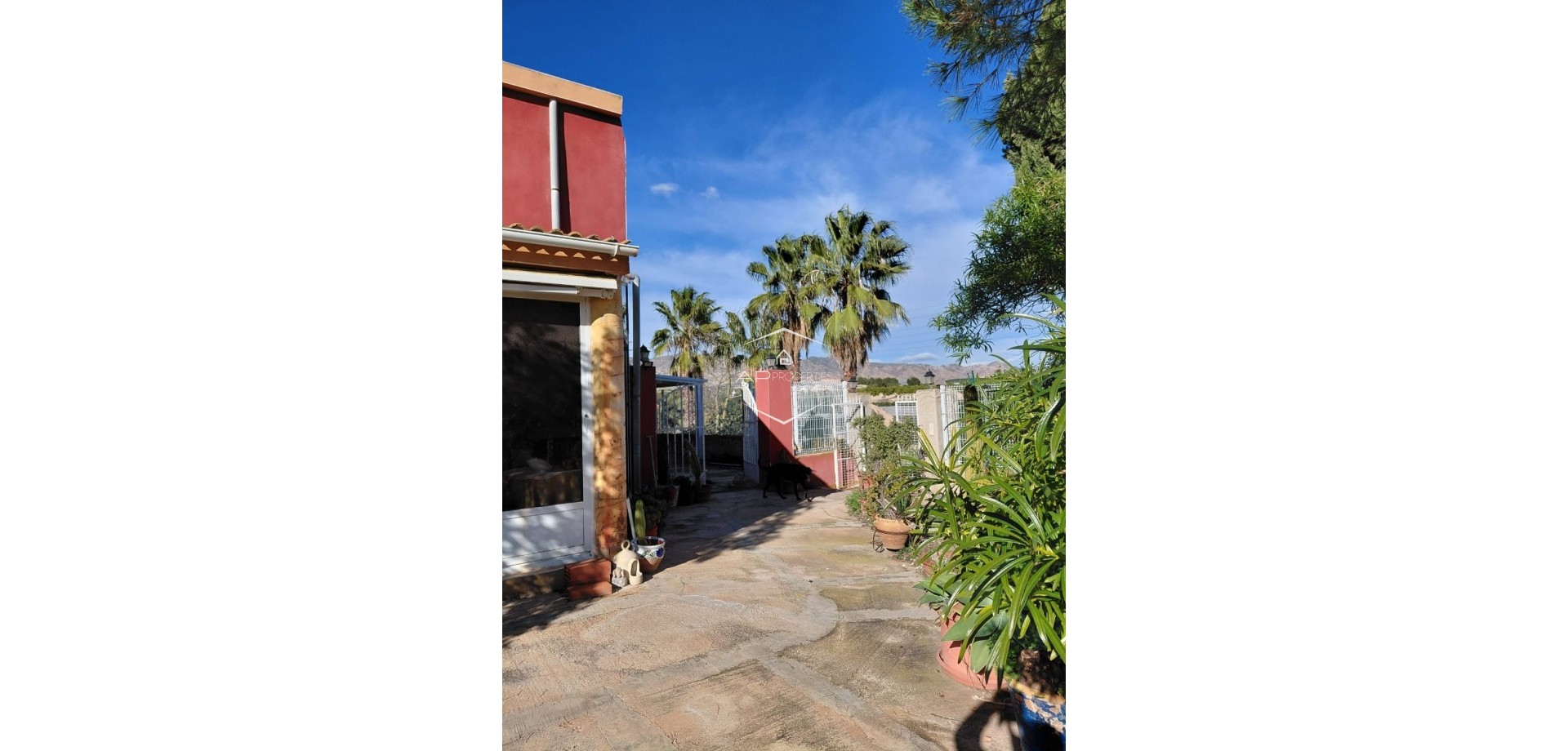 Herverkoop - Finca -
Orihuela