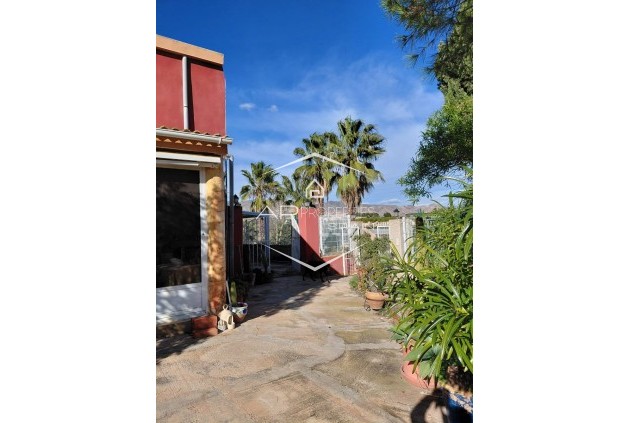 Herverkoop - Finca -
Orihuela