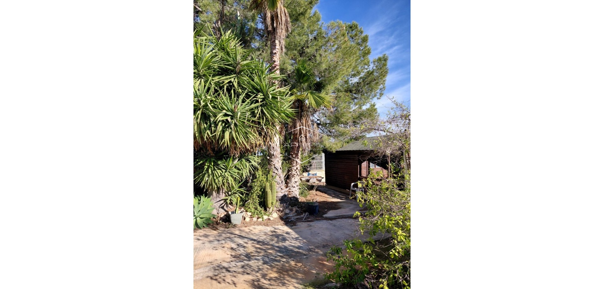 Herverkoop - Finca -
Orihuela