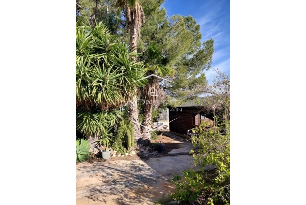 Herverkoop - Finca -
Orihuela