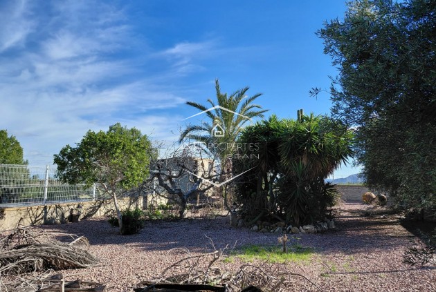 Herverkoop - Finca -
Orihuela