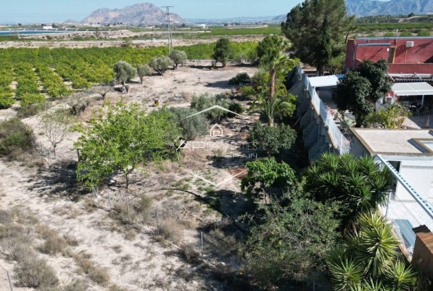 Herverkoop - Finca -
Orihuela