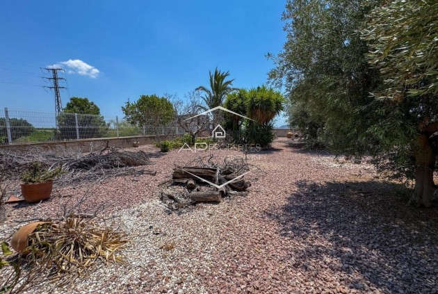 Herverkoop - Finca -
Orihuela