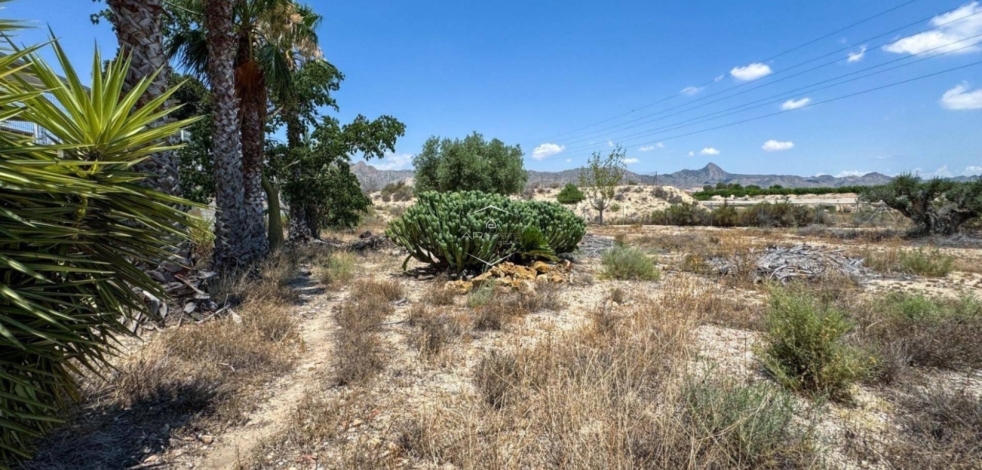 Herverkoop - Finca -
Orihuela