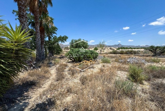 Herverkoop - Finca -
Orihuela