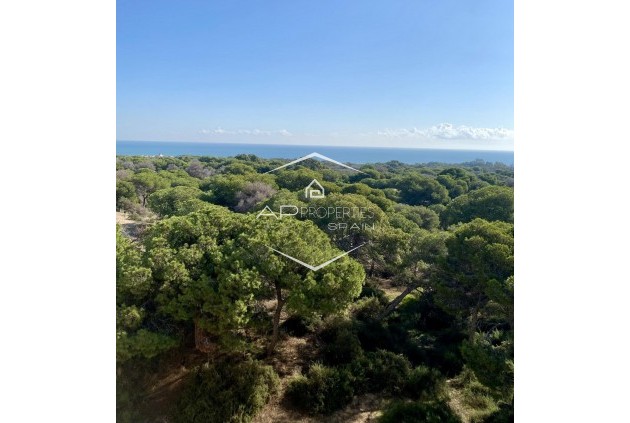 Nueva construcción  - Apartamento - piso -
Guardamar del Segura - Centro