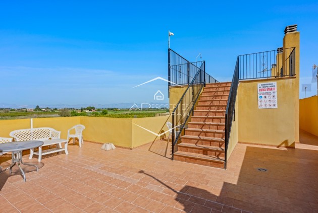 Odsprzedaż - Mieszkanie - Apartament -
Daya Nueva