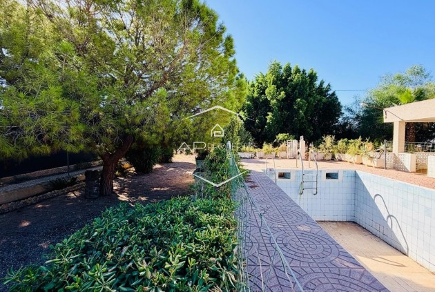 Resale - Villa - Detached -
Crevillente
