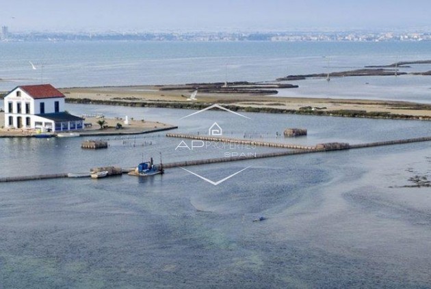 Nowy budynek - Willa - Dom wolnostojący -
San Pedro del Pinatar - Centro