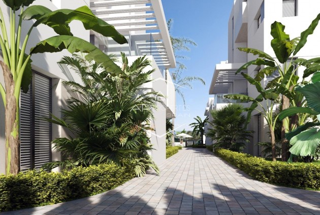 New Build - Apartment - flat -
Torre Pacheco - Santa Rosalia